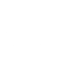 Higher Collective Categories Icon Concentrates